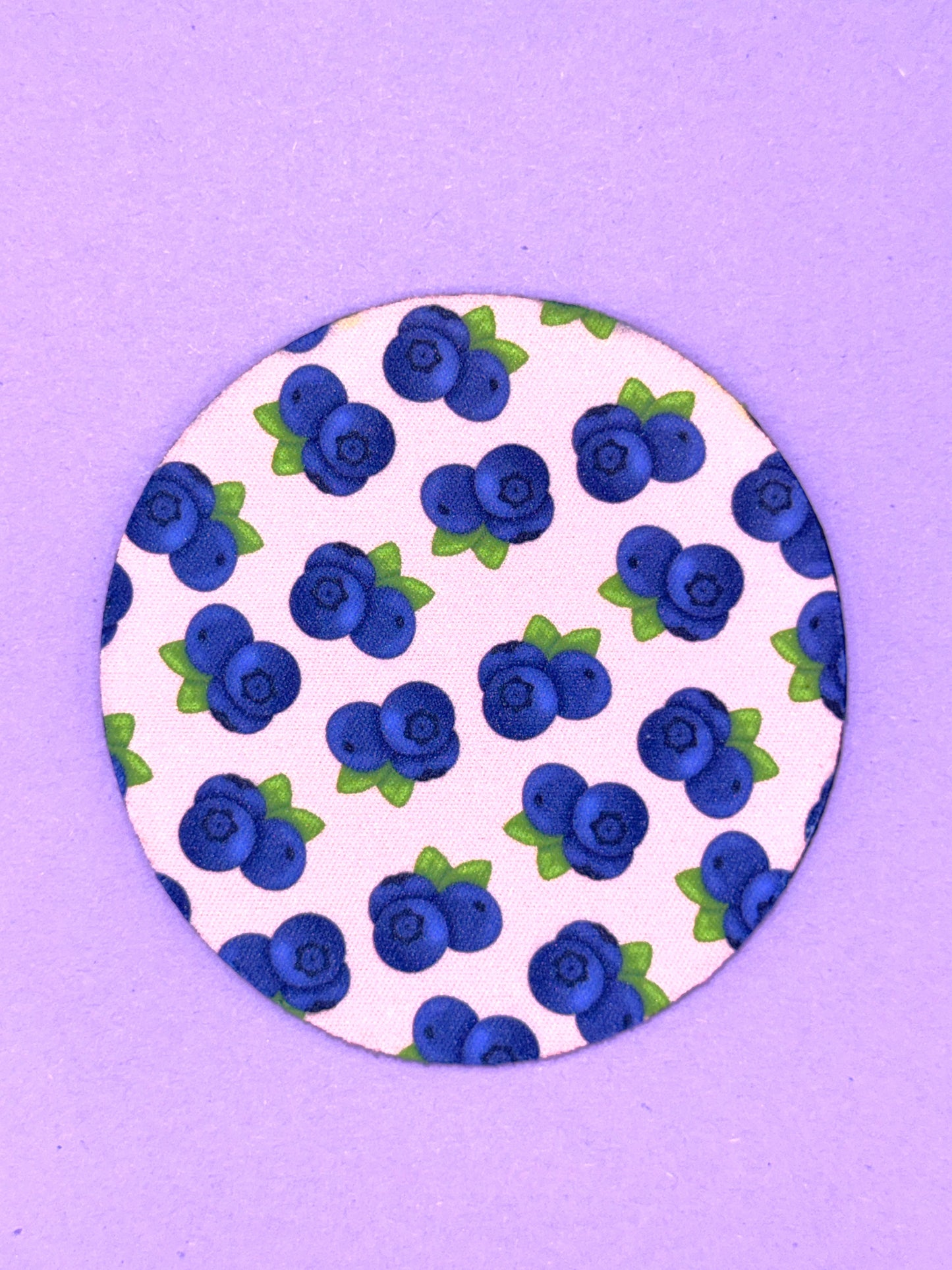 Fruit Themed Non-Slip Coasters